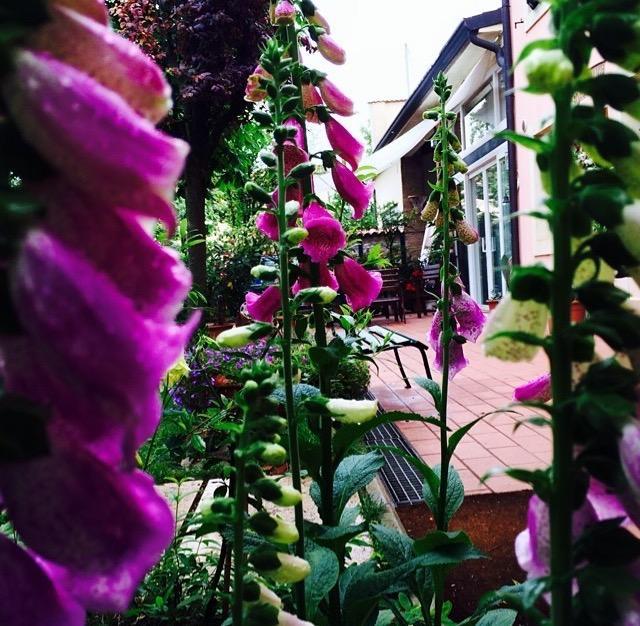 Bed And Breakfast Villa Franca วิลลาฟรันกา ดี เวโรนา ภายนอก รูปภาพ